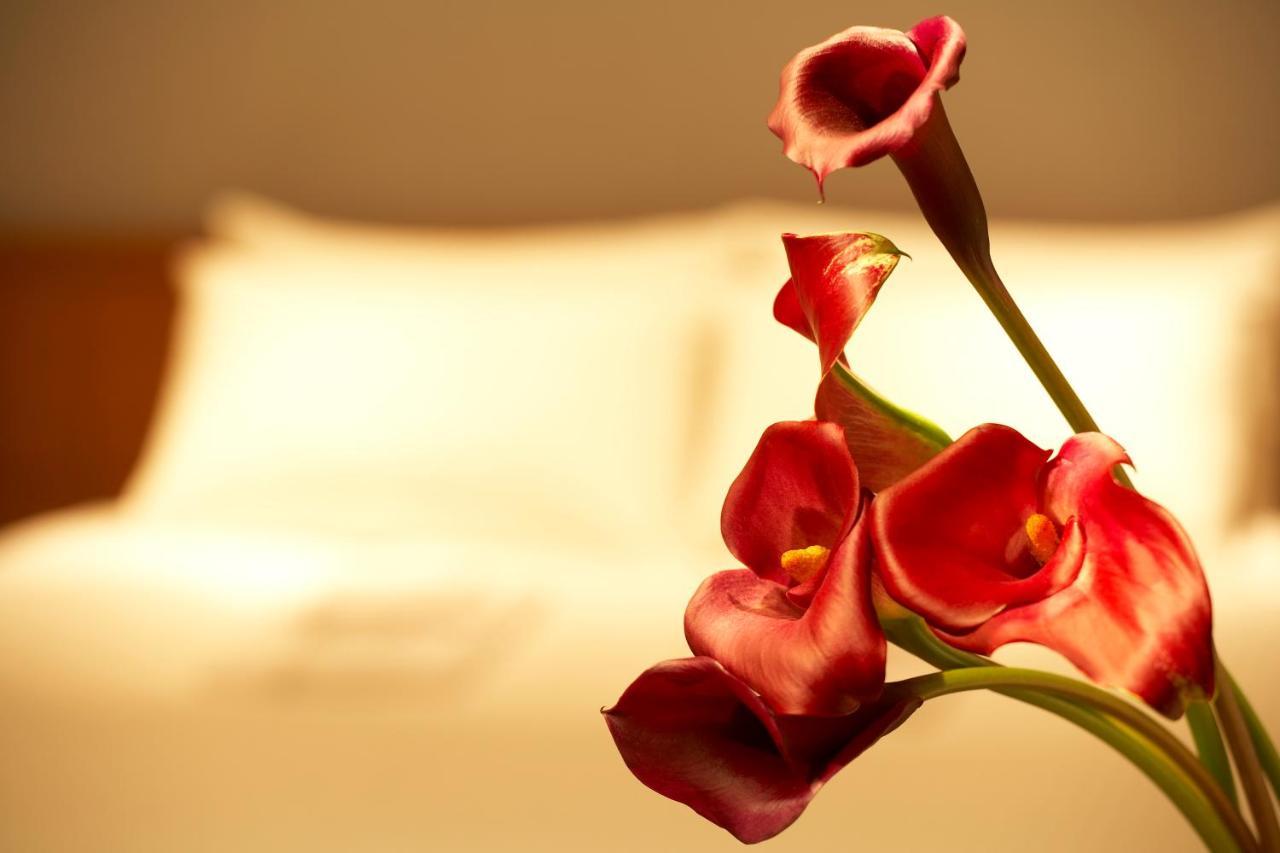 The B Hachioji Hotel Ruang foto